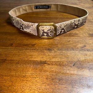 Jj Winters Kylie Leather Python Belt With Brass Buckle